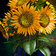 Sunflowers [Van Gogh]